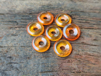 Polished Box of Fossilized Baltic Amber Donut Rings for Pendants x 39 From Poland