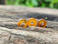 Polished Box of Fossilized Baltic Amber Donut Rings for Pendants x 39 From Poland