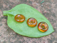 Polished Box of Fossilized Baltic Amber Donut Rings for Pendants x 39 From Poland