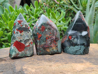 Polished Bloodstone Points x 3 From Swaziland