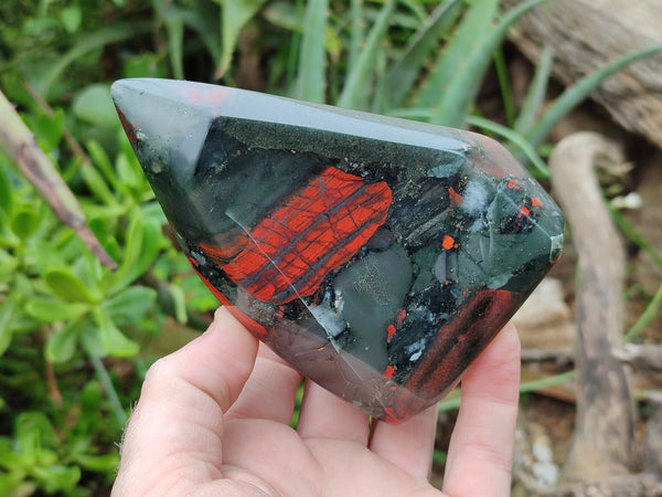 Polished Bloodstone Points x 3 From Swaziland