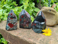 Polished Bloodstone Points x 3 From Swaziland