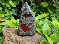 Polished Bloodstone Points x 3 From Swaziland