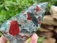 Polished Bloodstone Points x 3 From Swaziland