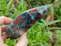 Polished Bloodstone Points x 3 From Swaziland