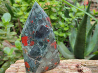 Polished Bloodstone Points x 3 From Swaziland