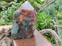 Polished Bloodstone Points x 3 From Swaziland