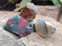 Natural Cobbed Bloodstone Specimens x 35 From Swaziland