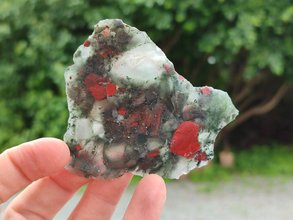 Natural Cobbed Bloodstone Specimens x 35 From Swaziland