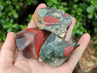 Natural Cobbed Bloodstone Specimens x 35 From Swaziland