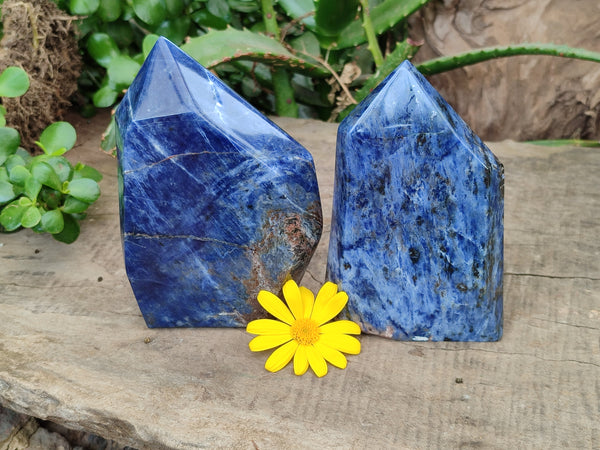 Polished Sodalite Points x 2 From Kunene River, Namibia