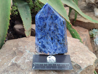 Polished Sodalite Points x 2 From Kunene River, Namibia