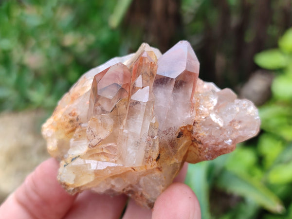 Natural Red Hematoid Quartz Clusters x 12 From Karoi, Zimbabwe