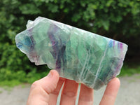 Polished on One Side Watermelon Fluorite Pieces x 6 From Namibia