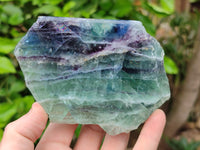 Polished on One Side Watermelon Fluorite Pieces x 6 From Namibia