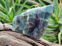 Polished on One Side Watermelon Fluorite Pieces x 6 From Namibia