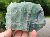 Polished on One Side Watermelon Fluorite Pieces x 6 From Namibia