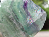 Polished on One Side Watermelon Fluorite Pieces x 6 From Namibia