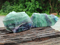 Polished on One Side Watermelon Fluorite Pieces x 6 From Namibia