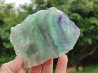 Polished on One Side Watermelon Fluorite Pieces x 6 From Namibia