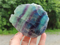 Polished on One Side Watermelon Fluorite Pieces x 6 From Namibia