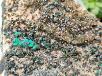 Natural Libethenite Crystals On Dolomite Matrix Specimens x 1 From Shituru, Congo