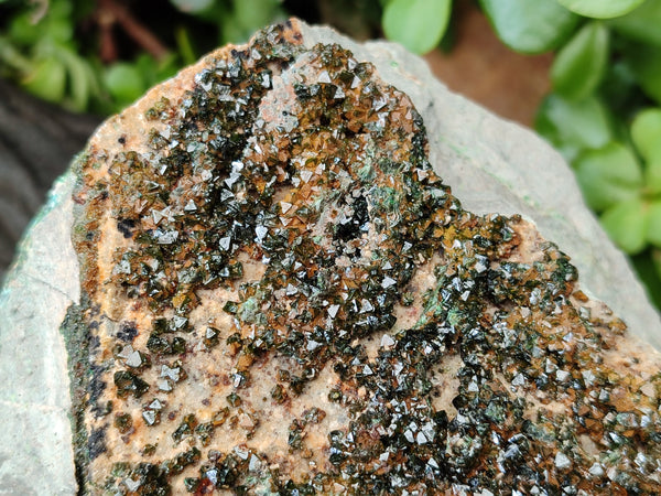 Natural Libethenite Crystals On Dolomite Matrix Specimens x 1 From Shituru, Congo