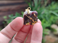 Polished Banded Tiger Iron Jasper Elephant Pendant with 9ct Gold Bail and Trim - Sold Per Item - From Australia