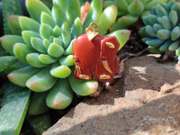 Polished Red Jasper Elephant Pendant with 9ct Gold Bail and Trim - Sold Per Item - From South Africa