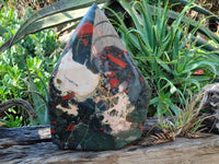 Polished Extra Large A Grade Bloodstone Display Piece x 1 From Swaziland