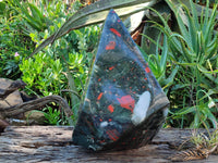 Polished Extra Large A Grade Bloodstone Display Piece x 1 From Swaziland