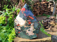 Polished Bloodstone Display Piece x 1 From Swaziland