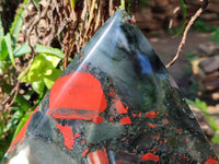 Polished Extra Large A Grade Bloodstone Display Piece x 1 From Swaziland