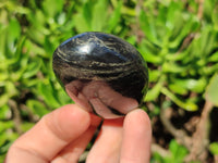 Polished Pharaoh Stone Palm Stones x 6 From Zimbabwe