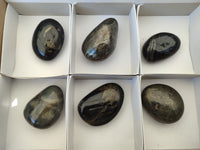 Polished Pharaoh Stone Palm Stones x 6 From Zimbabwe