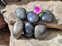 Polished Pharaoh Stone Palm Stones x 6 From Zimbabwe