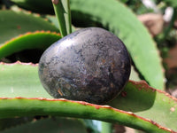 Polished Pharaoh Stone Palm Stones x 6 From Zimbabwe