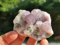 Natural Amethyst Spirit Quartz Clusters x 12 From Boekenhouthoek, South Africa