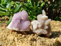 Natural Amethyst Spirit Quartz Clusters x 12 From Boekenhouthoek, South Africa