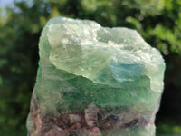 Natural Watermelon Fluorite Specimens x 2 From Uis, Namibia