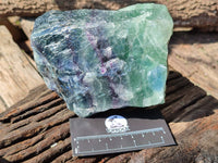 Natural Watermelon Fluorite Specimens x 2 From Uis, Namibia