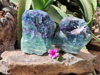 Natural Watermelon Fluorite Specimens x 2 From Uis, Namibia