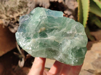 Natural Watermelon Fluorite Specimens x 2 From Uis, Namibia