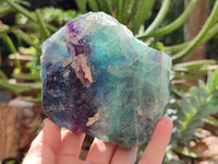 Natural Watermelon Fluorite Specimens x 2 From Uis, Namibia