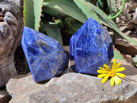 Polished Sodalite Points x 2 From Kunene River, Namibia