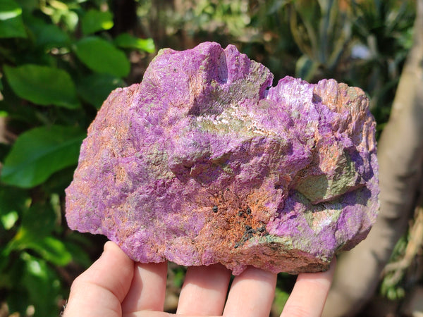 Natural Stichtite Specimens x 3 From Barberton, South Africa