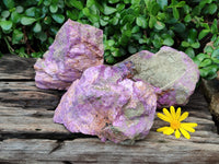 Natural Stichtite Specimens x 3 From Barberton, South Africa