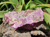 Natural Stichtite Specimens x 3 From Barberton, South Africa