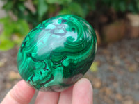 Polished Flower Banded Malachite Eggs x 4 From Congo