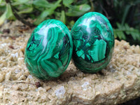 Polished Flower Banded Malachite Eggs x 4 From Congo